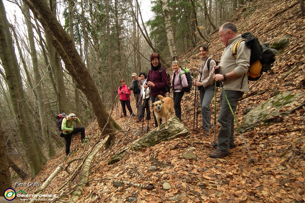 12 che si inoltra nel bosco.JPG